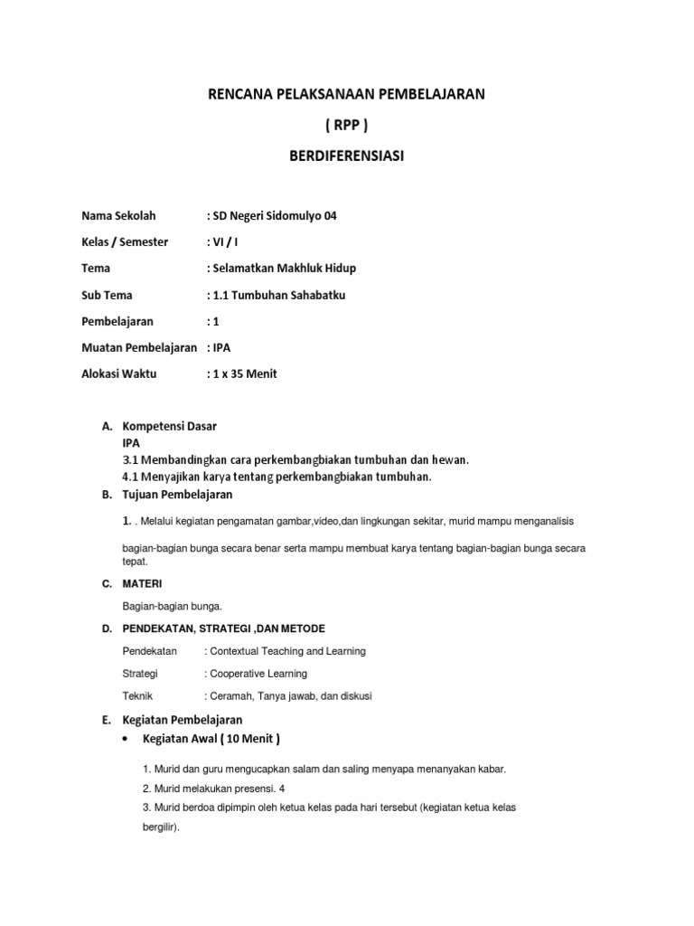 Download Rpp Diferensiasi