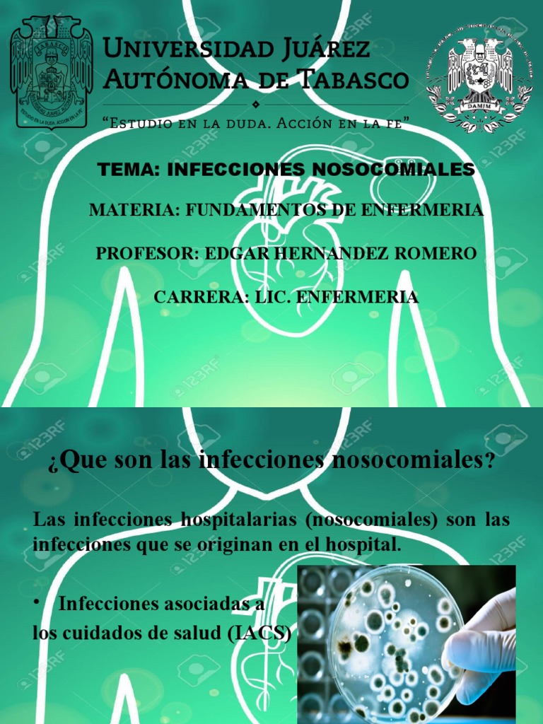 Infecciones Nosocomiales Pdf Infección Infección Adquirida En El