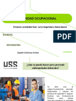 Diapositivas Seguridad Laboral