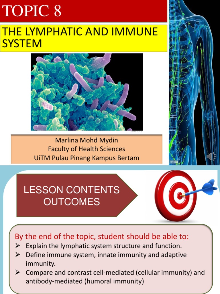 CHAPTER 8 Lymphatic System PDF Lymphatic System Lymph