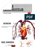 05 Sistema Cardiovascular