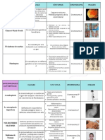 Cuadro Comparativo