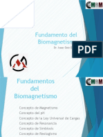 Fundamentos Del Biomagnetismo