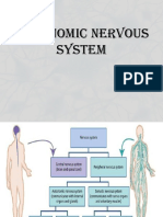 Autonomic Nervous System