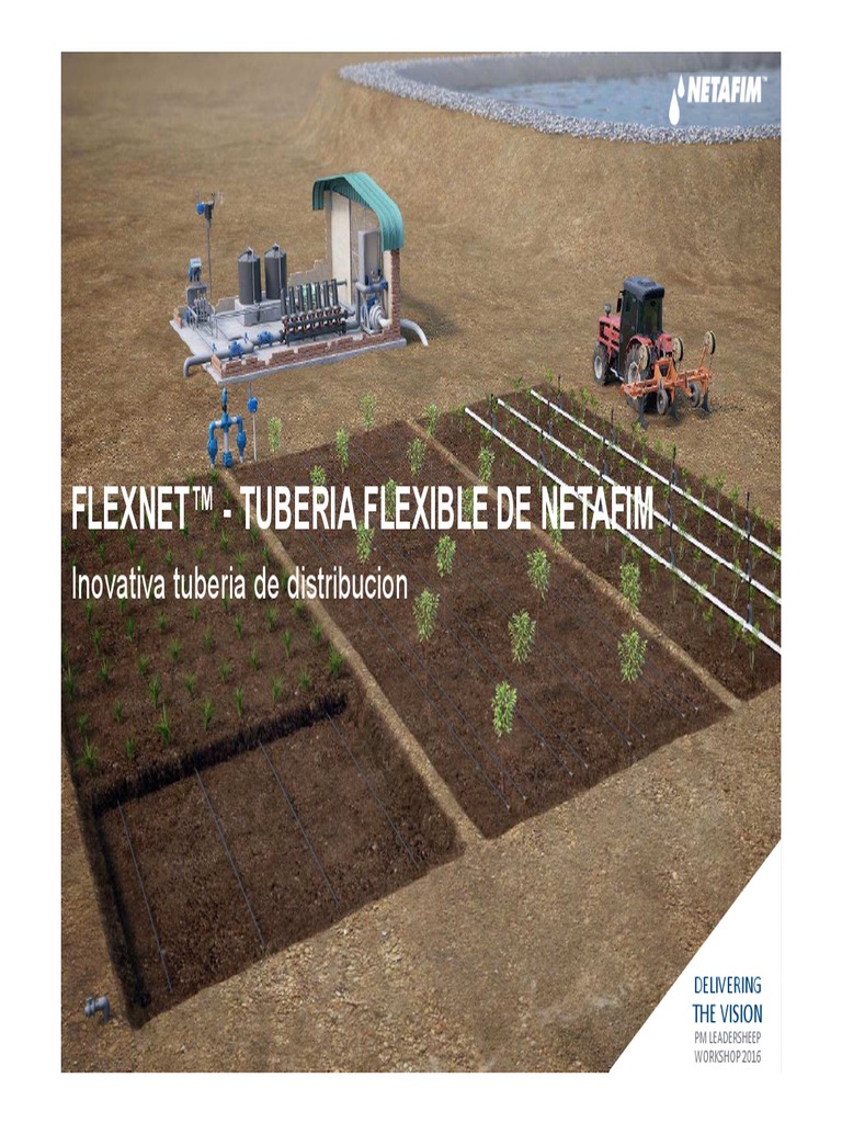 Presentacion FlexNet | PDF