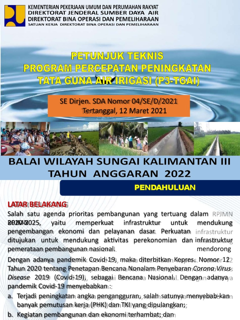 Juknis P3-TGAI 2025 dan Pelaksanaannya | PDF