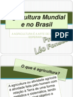 AGRICULTURA MUNDIAL E NO BRASIL