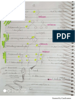 Embryology