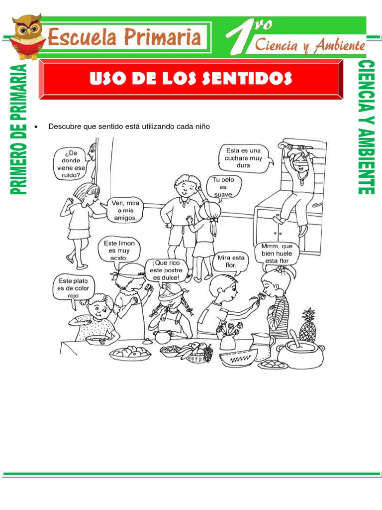 Uso de Los Sentidos para Primero de Primaria | PDF
