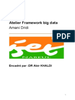 Atelier Framework Big Data PDF