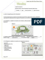 Ejercicio Bachillerato Fotosíntesis