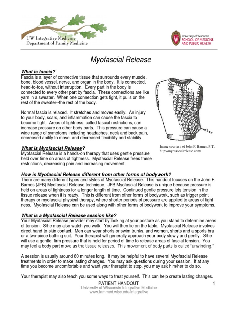 Fascia visual data 3