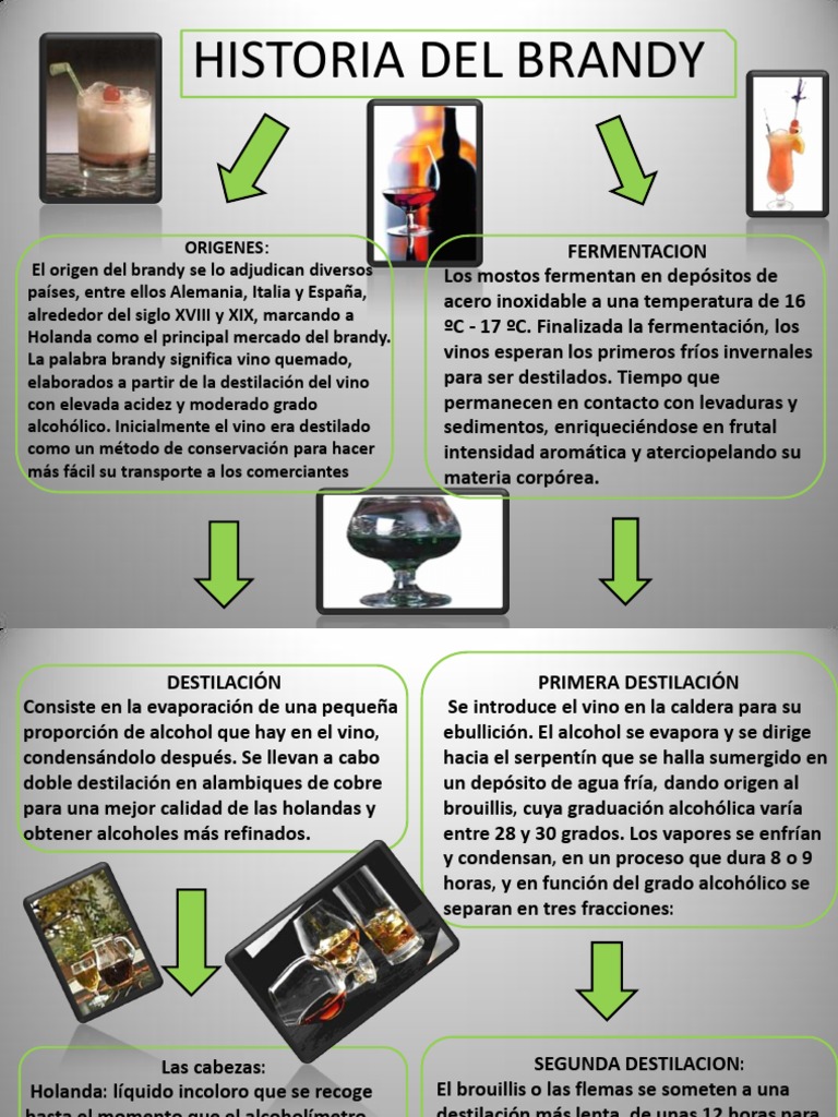 HISTORIA DEL BRANDY