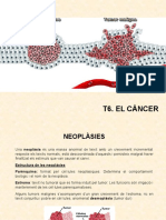 Tema 6. Càncer-1