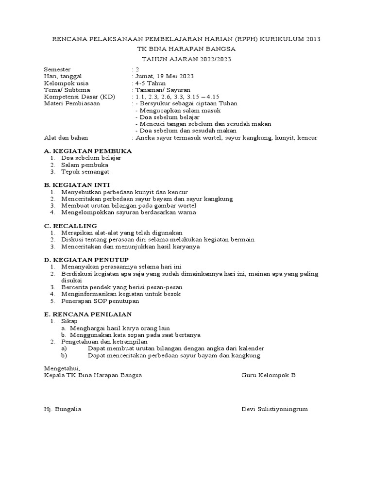 RPPH | PDF