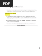 Download Chapter 38 Skin Integrity and Wound Care by danir923 SN6475764 doc pdf