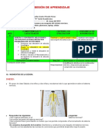 SESIÓN DE APRENDIZAJE Ciencia y Tecnologia - Maqueta Sistema Nervioso