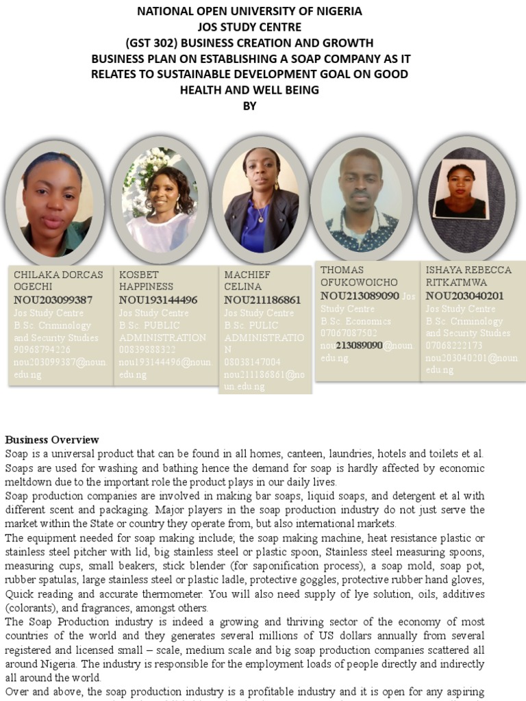 SOAP BUSINESS PLAN PPTX (ReadOnly) PDF Brand Soap