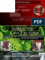 Pyaa Biorreactor 2