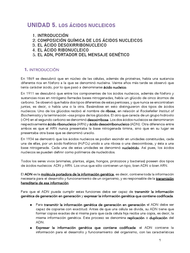 Estructura y función de ácidos nucleicos | PDF | Rna | Adn