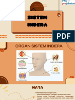 Sistem Indra