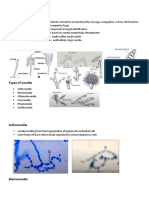 Mycology 2