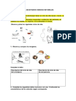 Cs Naturales Seres Vivos e Inertes