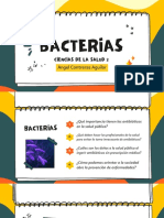 Bacterias