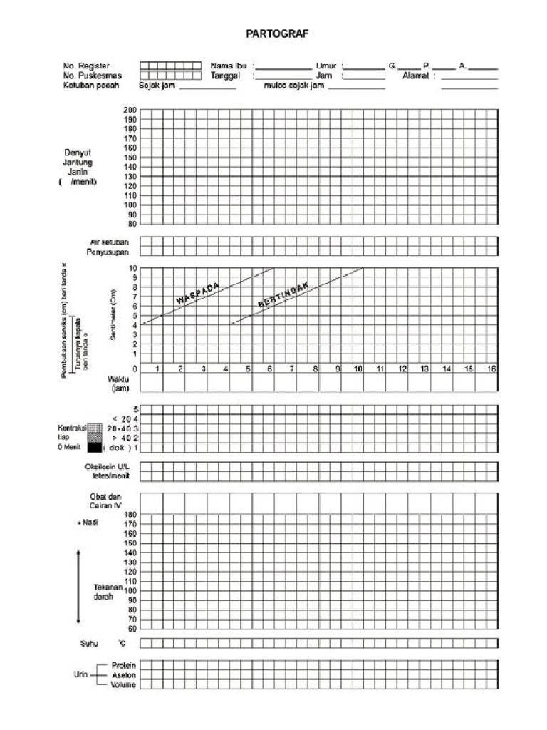 PDF Patograf | PDF
