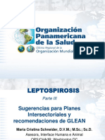 2014 CHA Leptospirosis Planes Intersectoriales