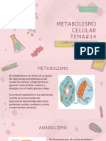 Metabolismo Celular - Aceves Victoria