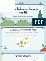 Procesos de Obtencion de Energia - EXPO2