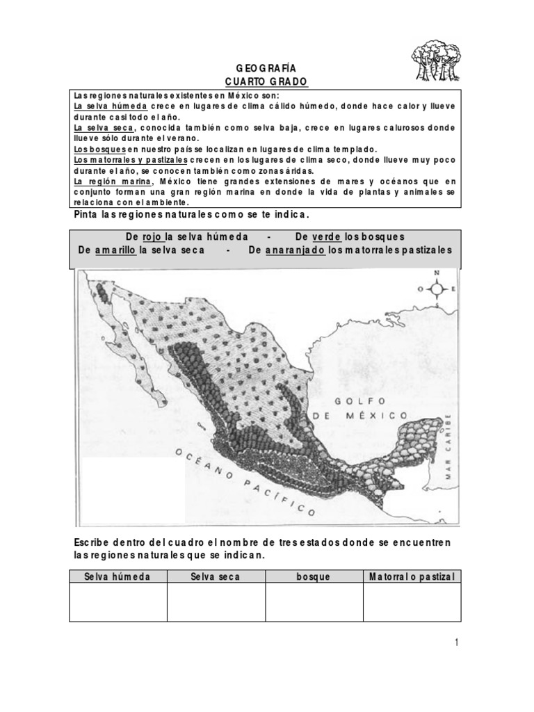 Enlace Cuarto Grado Geografia 2011. | PDF | Selva | Área rural