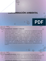 Contaminación Ambiental