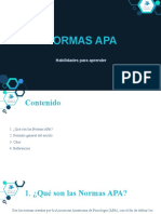 Presentacion Normas APA 2021