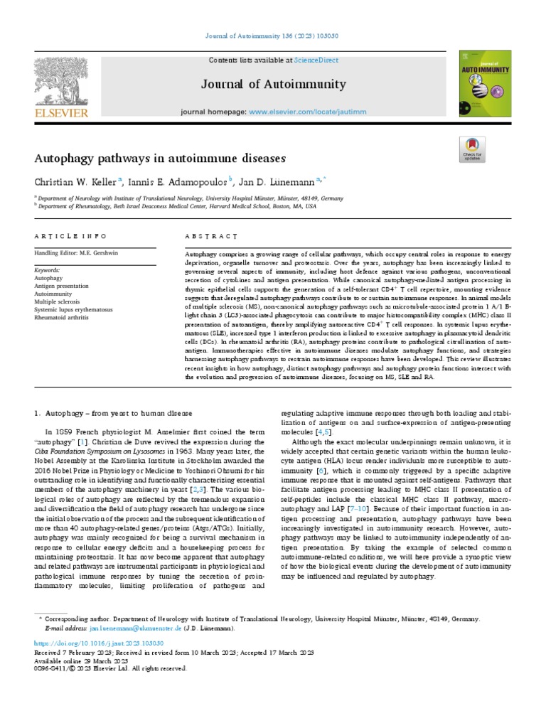 Autophagy in Autoimmune Diseases Analysis | PDF | Autophagy | T Cell