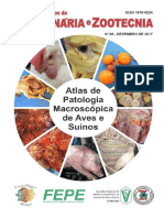 Atlas de Patologia Macroscópica de Aves e Suínos - Caderno Tecnico 86