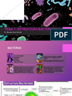 Tema 1 Estructura Bacteriana