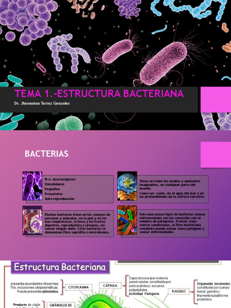 Tema 1 Estructura Bacteriana | PDF | Las bacterias | Infección