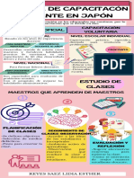 Sistema Capacitación Docente Japón