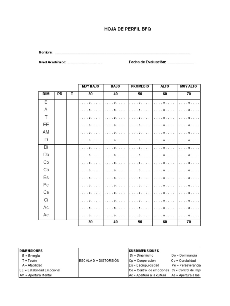 Hoja-Perfil-Bfq - Xls - Hoja1 | PDF | Sicología | Las emociones