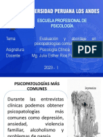 Evalauciones Psicopatologicas