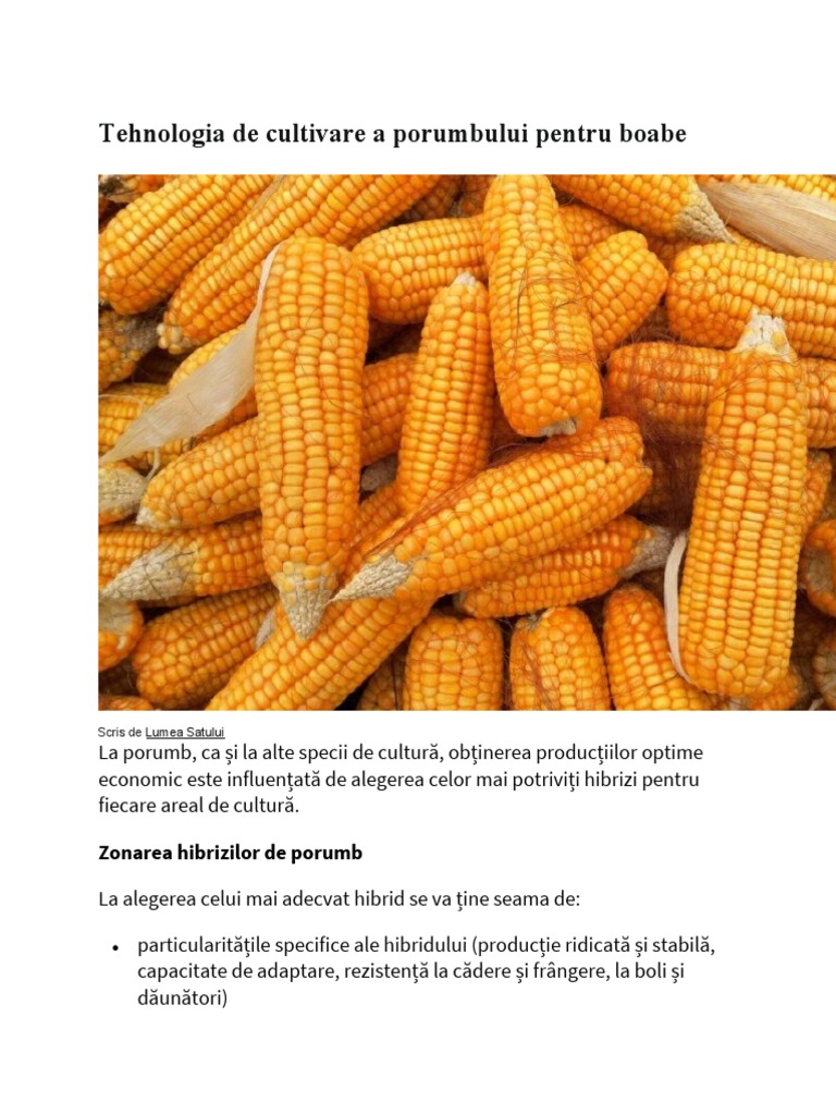Porumb | PDF