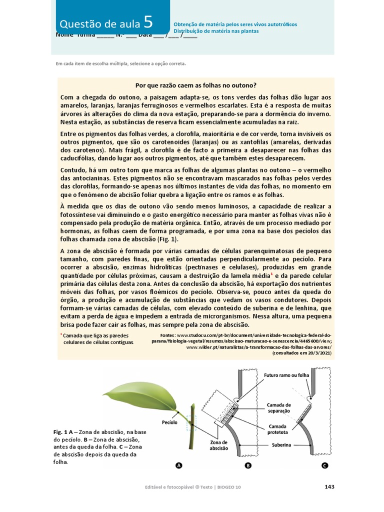 Abscisão Foliar e Queda das Folhas | PDF | Folha | Plantas