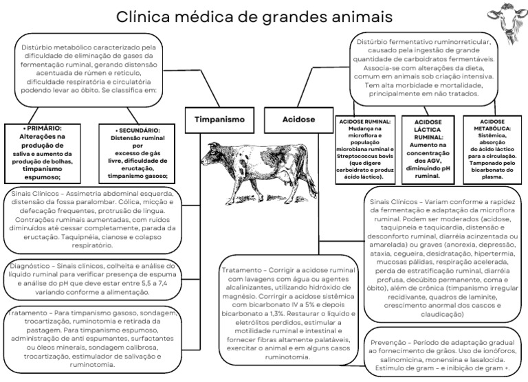 Timpanismo Acidose Primário Alterações Na Produção de Timpanismo