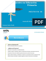 Indicaciones Realización Practicum III