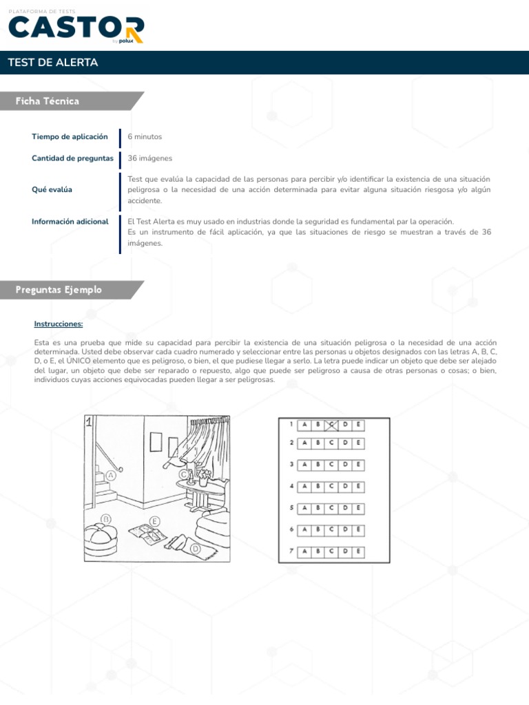 Ficha Tecnica Test de Alerta | PDF
