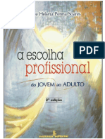 LIVRO - A Escolha Profissional (Dulce Helena)