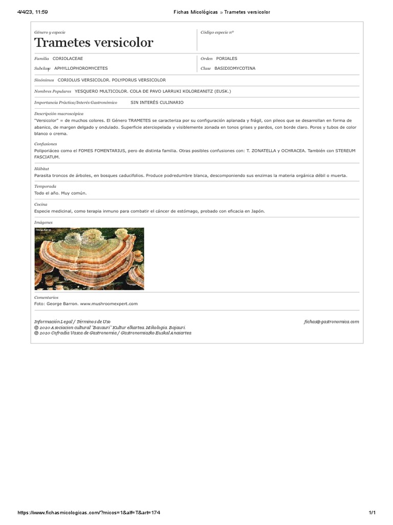 Trametes Versicolor | PDF