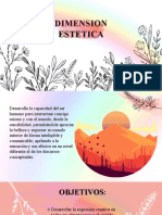 Dimension Estetica